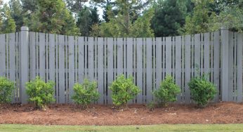 Fence Materials: Which Are Worth Your Money?